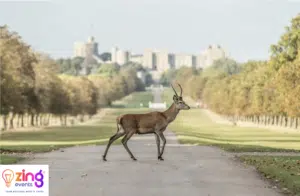 London Parks Team Building
