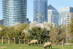 Team Building in Canary Wharf