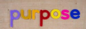What Are the 5 P’s of Team Building