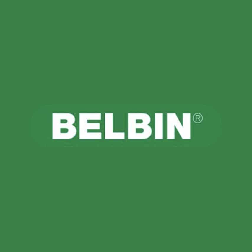 Belbin 853X853