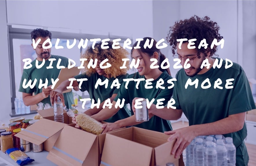 Volunteering Team Building in 2026