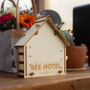 Build a Bee Hotel Sustainability team Building